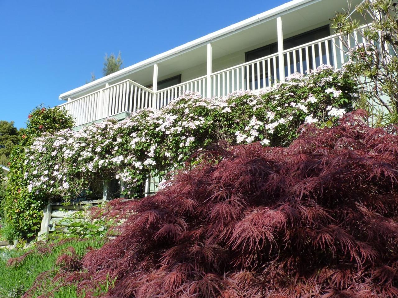 Ligita'S Homestay Havelock Exterior photo